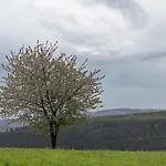 Auf Der Stadtmauer *