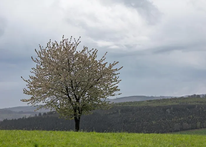 Auf Der Stadtmauer *